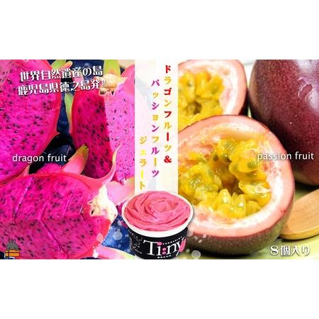 ふるさと納税 南の島の恵み！ドラゴン＆パッション プレミアム