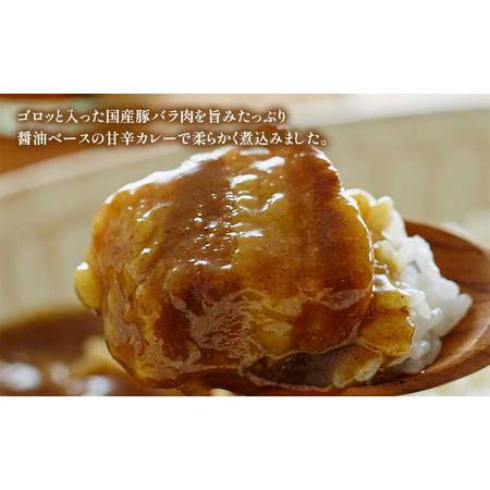 ふるさと納税 【 定期便 3ヶ月 】カレー 豚の角煮カレー 5個 セット ニシキヤ キッチン レトルト 宮城県岩沼市_1
