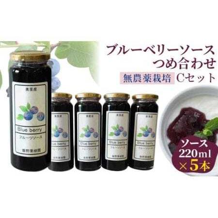 ふるさと納税 (Cセット)ブルーベリーソースつめ合わせ[飯野果樹園 当園自慢の無農薬栽培!] [No.151] 埼玉県美里町