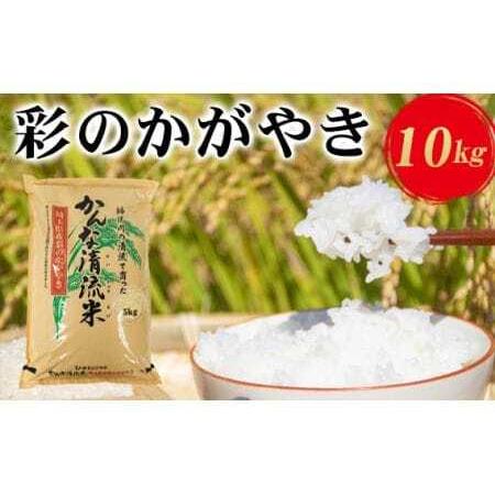 ふるさと納税 埼玉県産「彩のかがやき」10kg [No.181] 埼玉県美里町