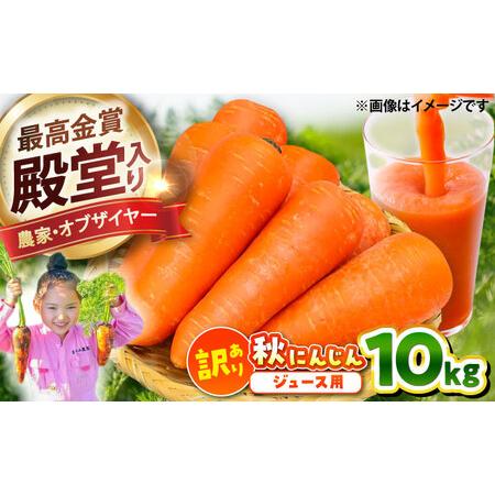 ふるさと納税 秋にんじん10kg (訳あり) にんじん BHCW007 熊本県菊陽町
