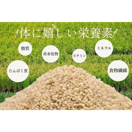 ふるさと納税 北海道奈井江町 ななつぼし 玄米 30kg 北海道奈井江町の画像
