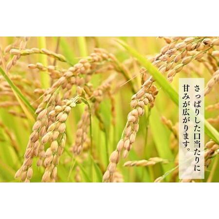 ふるさと納税 北海道奈井江町 ななつぼし 玄米 30kg 北海道奈井江町の画像