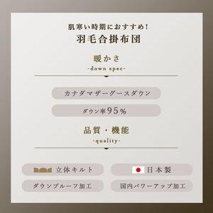 ふるさと納税 掛け布団 ブルー カナダマザーグース95% 1.1kg入り 羽毛合掛け布団 ダブルロング 徳島県吉野川市の画像