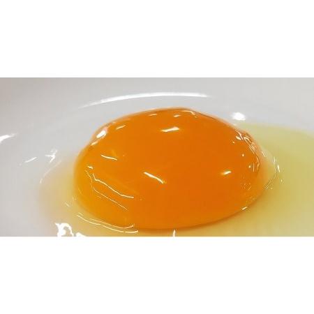 ふるさと納税 甲州放牧卵の定期便 18個×10回　F-503 山梨県甲州市
