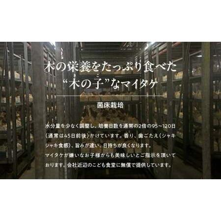 ふるさと納税 【12ヶ月定期便】長五郎 まいたけ 株500g×2 ほぐし300g×2 計19.2kg | きのこ きのこ  きのこ きのこ きのこ 群馬県前橋市