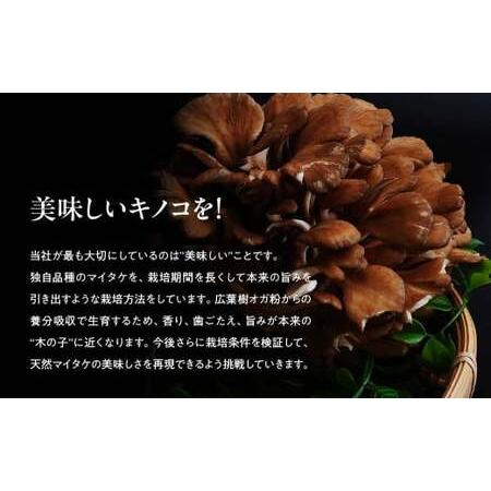 ふるさと納税 【12ヶ月定期便】長五郎 まいたけ 株500g×2 ほぐし300g×2 計19.2kg | きのこ きのこ  きのこ きのこ きのこ 群馬県前橋市