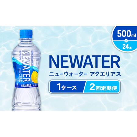 ふるさと納税 [2回定期便]アクエリアス ニューウォーター 500ml PET[コカ・コーラ]ペットボトル 1ケース(24本) 定期便 2回(48本) セット .. 宮崎県えびの市