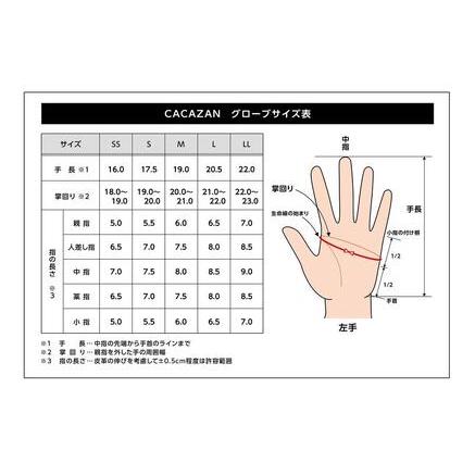 ふるさと納税 【Mサイズ】ペッカリードライビンググローブ（カラー：ブラック） 香川県さぬき市の画像