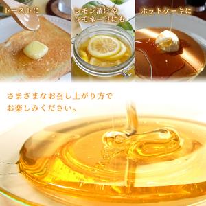 ふるさと納税 山中湖村産 いであプレミアム・ハニーHOKUSAI【白富士250g】 YAM009 山梨県山中湖村の画像
