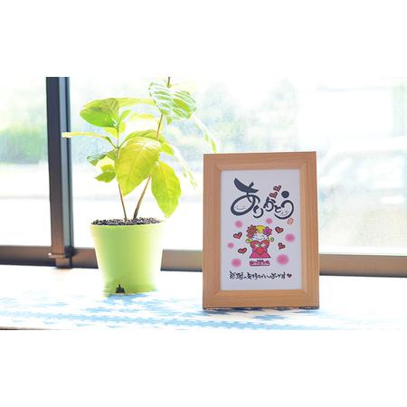 ふるさと納税 《こころ暖まる贈り物》大切な人に贈る世界に1つのメッセージカード 心書家のんちゃんのオリジナルお名前色紙TF0656-P00057 宮崎県高原町の画像