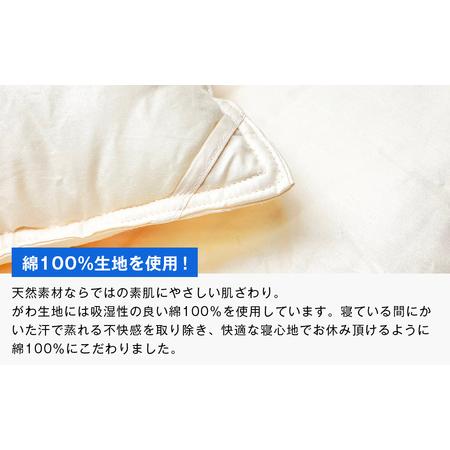 ふるさと納税 清潔掛ふとん 洗えるインビスタ シングル ツインキルト 2kg 日本製 ふわもち1520 兵庫県淡路市の画像