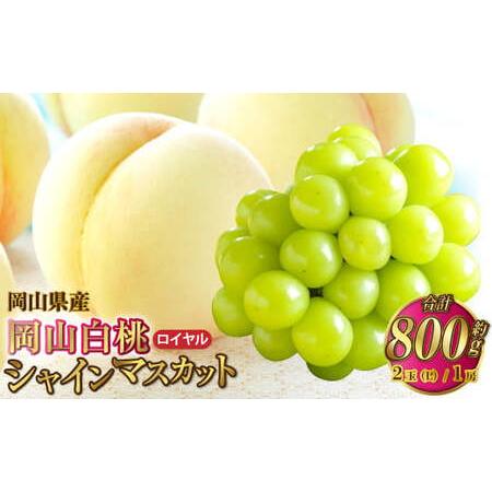 ふるさと納税 岡山県産 岡山白桃 ロイヤル Lサイズ 約200g×2玉・シャインマスカット 晴王 約400g×1房 詰合せ [2025年7月上旬〜8月下.. 岡山県奈義町