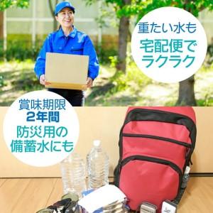 ふるさと納税 【3ヶ月定期便】富士山麓 四季の水／2L×2箱・ミネラルウォーター SWAB010 山梨県昭和町の画像
