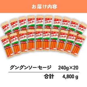 ふるさと納税 【魚肉 ソーセージ】240本 4.8kg 魚肉ソーセージ HU005 山口県下関市