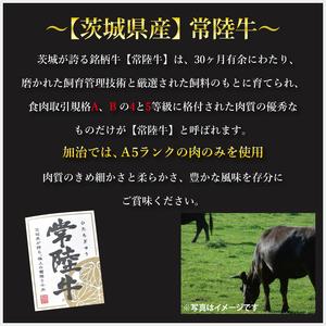ふるさと納税 【6ヶ月定期便】【常陸牛 A5ランク】カレー２パック＋【ローズポーク】カレー２パック 国産牛 和牛 牛肉 豚肉 ブランド豚 茨城県 .. 茨城県水戸市の画像