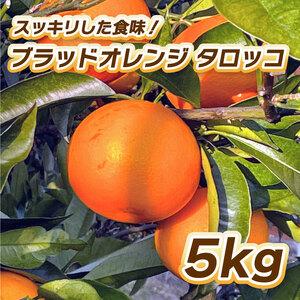 ふるさと納税 [2027年2月中旬頃から順次発送]ブラッドオレンジ タロッコ 5kg 柑橘 果物 フルーツ オレンジ みかん 松山市 愛媛県 [TF003_x.. 愛媛県松山市