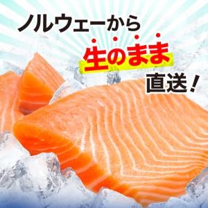 ふるさと納税 【サーモン】アイスバーグサーモン600g  福島県いわき市_1