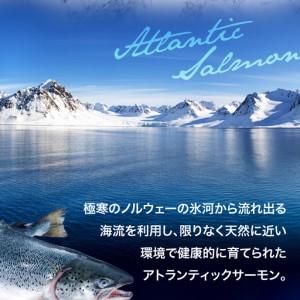 ふるさと納税 【サーモン】アイスバーグサーモン600g  福島県いわき市_2