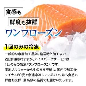 ふるさと納税 【サーモン】アイスバーグサーモン600g  福島県いわき市_4