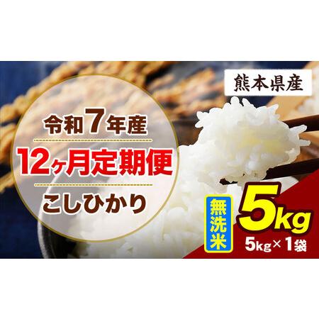 ふるさと納税 [12ヶ月定期便]令和7年産 こしひかり 5kg 無洗米 熊本県産山村