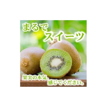 ふるさと納税 キウイ 厳選 5kg＋250g（痛み補償分） / キウイフルーツ 高級 和歌山 ※2026年11月中旬〜2027年4月下旬に順次発送 ※北海道・沖.. 和歌山県広川町_1