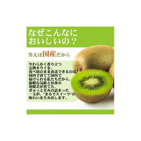 ふるさと納税 キウイ 厳選 5kg＋250g（痛み補償分） / キウイフルーツ 高級 和歌山 ※2026年11月中旬〜2027年4月下旬に順次発送 ※北海道・沖.. 和歌山県広川町_2