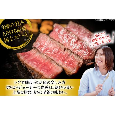 ふるさと納税 ヒレステーキ 和牛 長崎和牛 ヒレステーキ 120g 8枚 計960g [大川ストアー 長崎県 東彼杵町 hs42bag580112] 長崎県東彼杵町