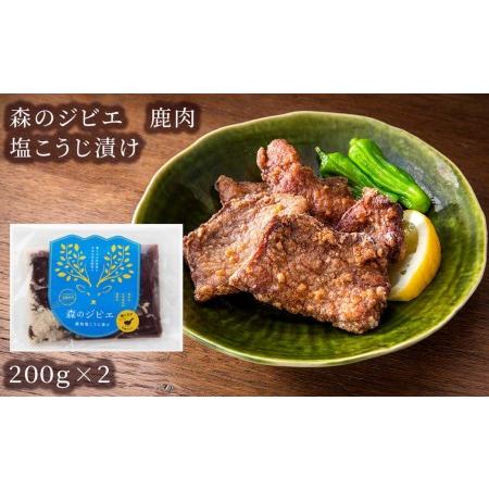 ふるさと納税 森のジビエ 鹿肉味付き詰合せセット計1.2kg A-JJ-A07A 岡山県西粟倉村｜furunavi｜02