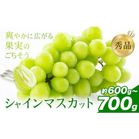 ふるさと納税 先行予約 シャインマスカット 秀品 内容量 約600g-700g(1-2房) 日本フルーツ[7月下旬-8月末頃出荷]熊本県 荒尾市 ぶどう ブドウ .. 熊本県荒尾市