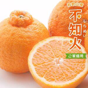 ふるさと納税 不知火 家庭用 7.5kg+250g(痛み補償分)/ みかん 訳あり しらぬい 光センサー 選別 デコポン 柑橘 晩柑 和歌山 甘い 18000円 /.. 和歌山県由良町