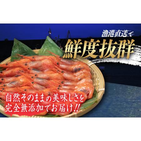 ふるさと納税 【小分け】越前産冷凍甘えび 約250g × 8パック 合計約2.0kg 福井県鯖江市_1