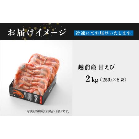 ふるさと納税 【小分け】越前産冷凍甘えび 約250g × 8パック 合計約2.0kg 福井県鯖江市_4