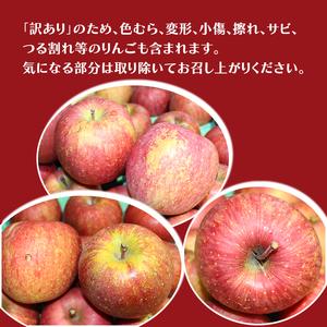 ふるさと納税 【平均糖度13度以上】2月発送 家庭用 訳あり サンふじ 約 3kg りんご リンゴ 林檎 果物 フルーツ わけあり 青森 青森県鶴田町_4