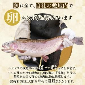 ふるさと納税 ぴっぷサーモン にじますイクラ 醤油漬け 320g（80g×4個）【にじます工房】サーモン ニジマス 鱒 ますいくら 鱒いくら イクラ.. 北海道比布町の画像
