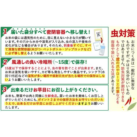 ふるさと納税 米 令和7年産 森のくまさん 白米 5kg 5kg×1袋 計6回お届け 《お申込み翌月から出荷》 お米 こめ 熊本県産 ご飯 備蓄 熊本県長洲町の画像