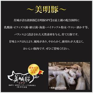 ふるさと納税 【6ヶ月定期便】【美明豚】カレー5パック  豚肉 ブランド豚 茨城県 水戸市 レトルト 食品 国産 老舗精肉店（EK-73_2） 茨城県水戸市の画像