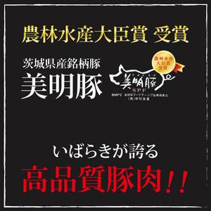 ふるさと納税 【6ヶ月定期便】【美明豚】カレー5パック  豚肉 ブランド豚 茨城県 水戸市 レトルト 食品 国産 老舗精肉店（EK-73_2） 茨城県水戸市の画像