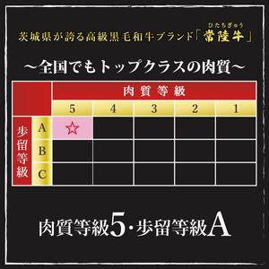 ふるさと納税 常陸牛A5位置づける・美明豚焼肉仕かける 足し加える約100人前！（EK-88） 茨城県水戸市