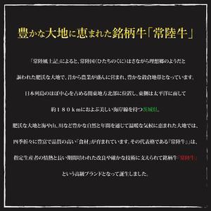 ふるさと納税 常陸牛A5位置づける・美明豚焼肉仕かける 足し加える約100人前！（EK-88） 茨城県水戸市