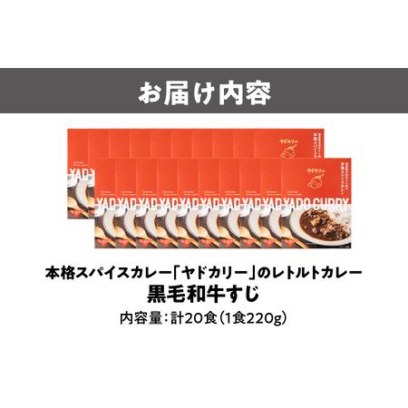 ふるさと納税 【 近鉄百貨店 】本格スパイスカレー「ヤドカリー」レトルトカレー 黒毛和牛すじ 20食セット_OS002-0043 大阪府大阪市の画像