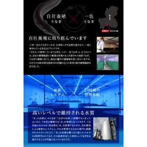 返品送料無料 ふるさと納税 57 岐阜鰻たむろ　”極”（ご自宅用 蒲焼き6尾）鮎の塩焼き付き 岐阜県各務原市