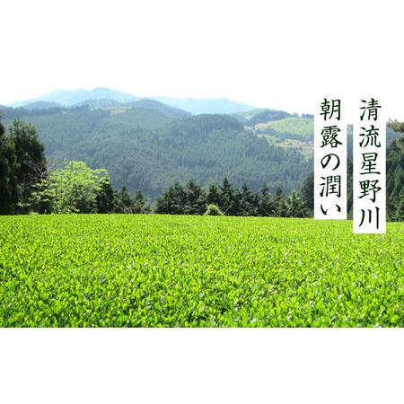 ふるさと納税 【全6回定期便】八女茶 深蒸し高級 1袋[BGAF016] 八女茶 福岡県吉富町の画像