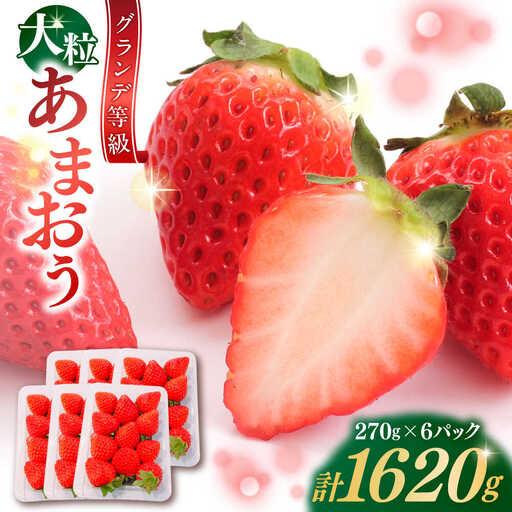 ふるさと納税 [先行予約]あまおう いちご 1620g[BGBQ002]旬のくだもの 果物 青果物 フルーツ 福岡県吉富町