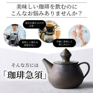 ふるさと納税 高山陶園 珈琲急須 【焼締め】｜常滑焼 急須  愛知県常滑市_1