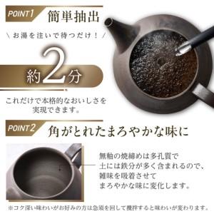 ふるさと納税 高山陶園 珈琲急須 【焼締め】｜常滑焼 急須  愛知県常滑市_2