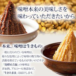 ふるさと納税 【定期便6回】特醸天然味噌 500g  | 栃木県 下野市 栃木県下野市_2