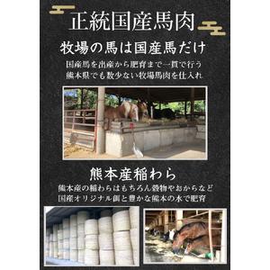 ふるさと納税 【 定期便 12回 】 純 国産 熊本 馬刺し ユッケ 600g ( 150g × 4パック) | 肉 にく お肉 おにく 馬 馬刺 ゆっけ 桜ゆっけ 桜.. 熊本県玉名市の画像