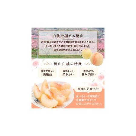 ふるさと納税 桃 2026年 先行予約 白桃 3玉(約750g)等級：ロイヤル 化粧箱入り もも モモ 岡山県産 国産 フルーツ 果物 セット ギフト 岡山県瀬戸内市の画像