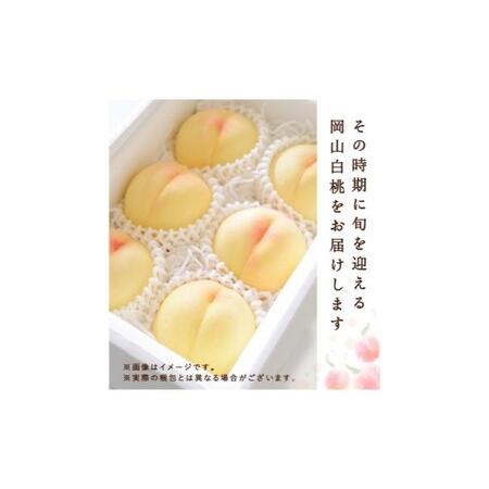 ふるさと納税 桃 2026年 先行予約 白桃 3玉(約750g)等級：ロイヤル 化粧箱入り もも モモ 岡山県産 国産 フルーツ 果物 セット ギフト 岡山県瀬戸内市の画像